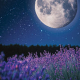 MidSummer's Night® Yankee Candle® Minis