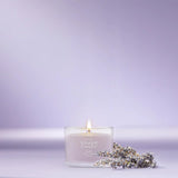Dried Lavender & Oak Yankee Candle® Minis