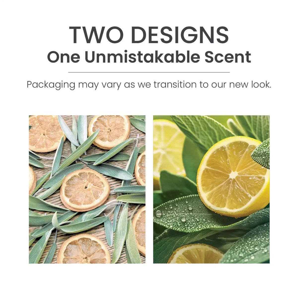 Sage & Citrus Car Jar®