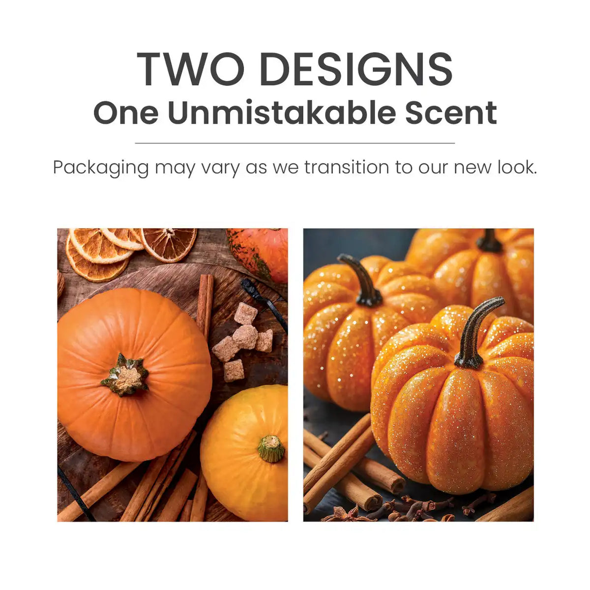 Spiced Pumpkin Wax Melts 6-Packs