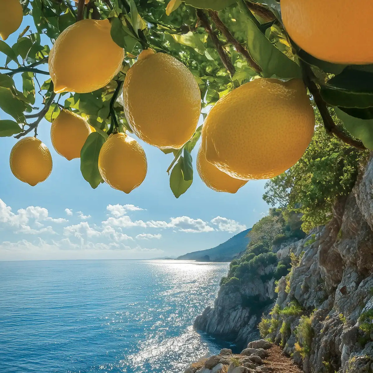 Sicilian Lemon Yankee Candle® Minis