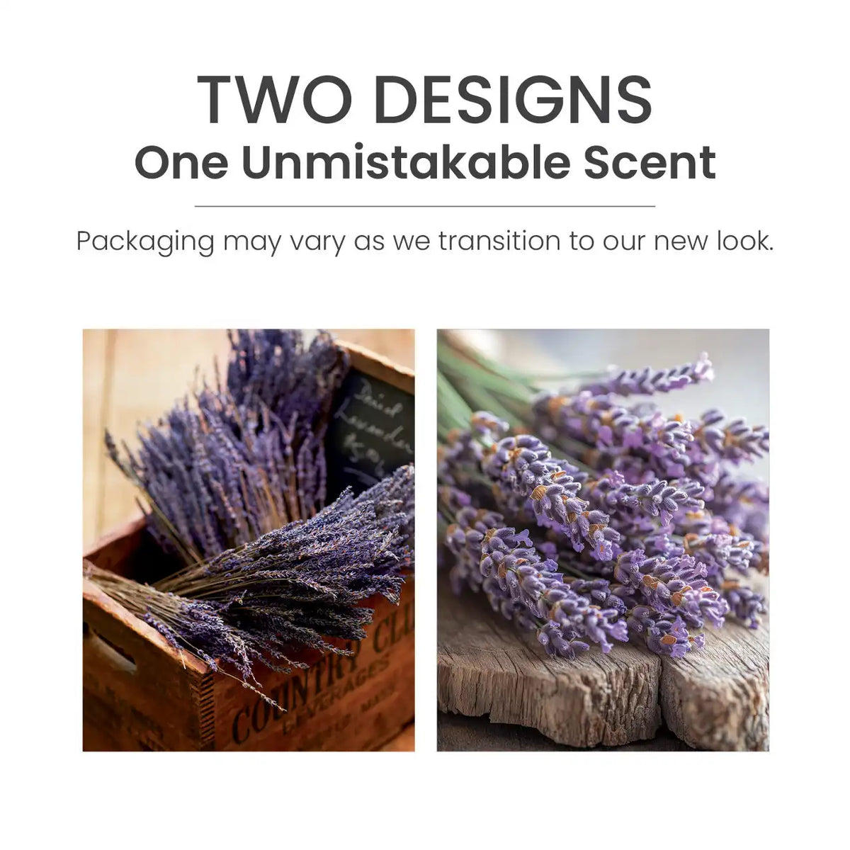 Dried Lavender & Oak Easy MeltCup