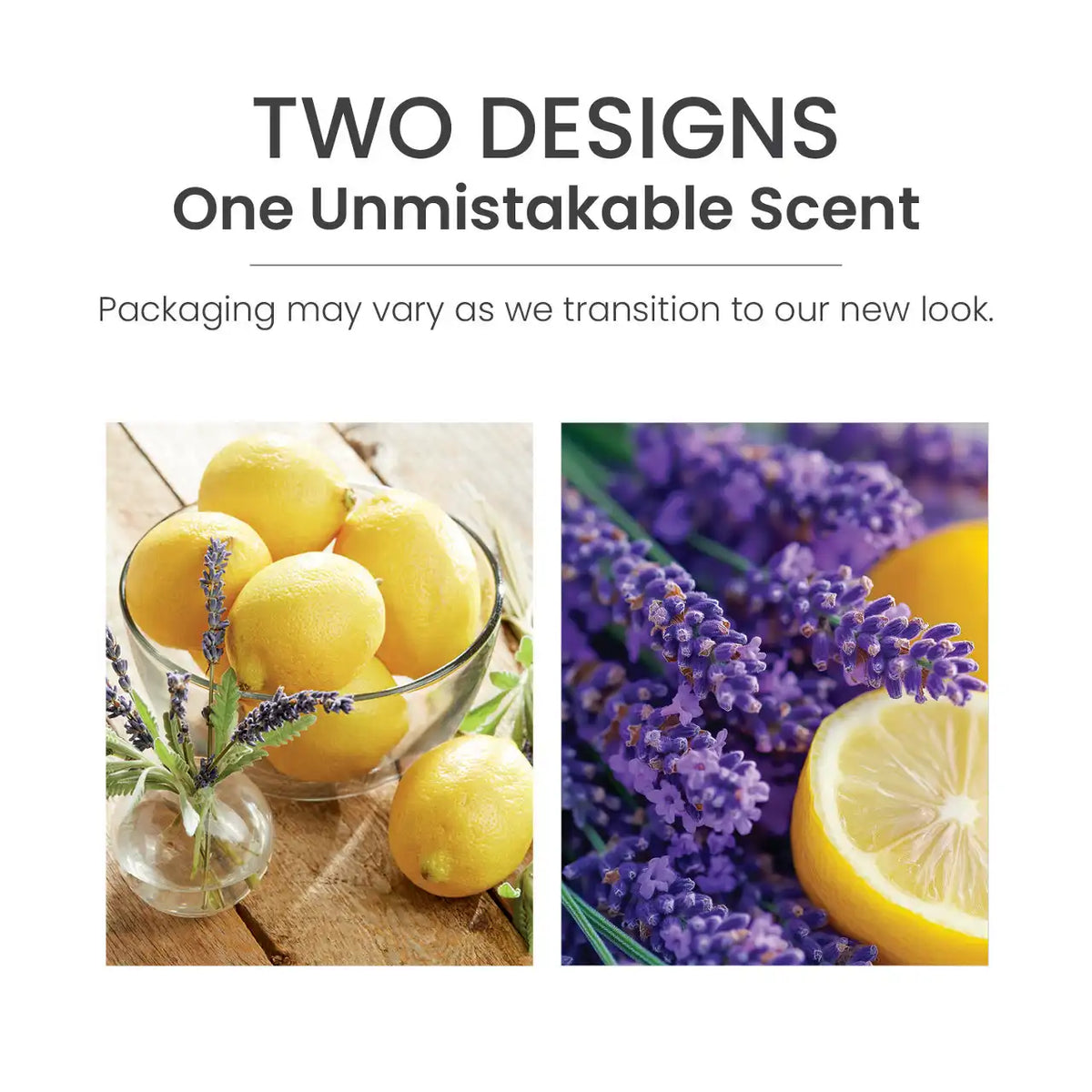 Lemon Lavender ScentPlug® Refill