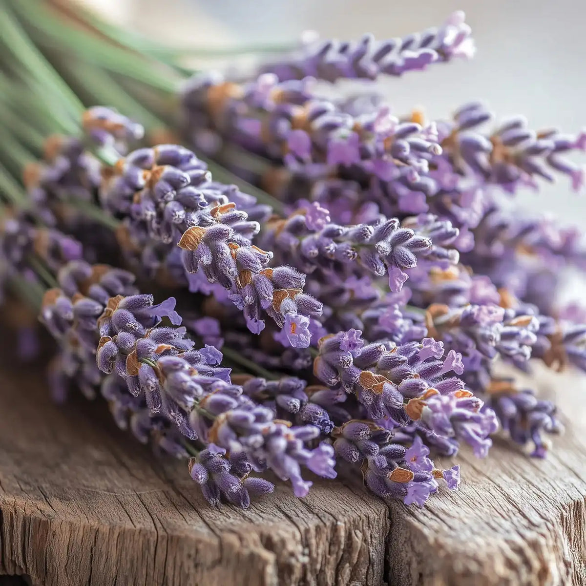 Dried Lavender & Oak Yankee Candle® Minis