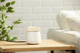 Pearl Electric Wax Melts Warmer