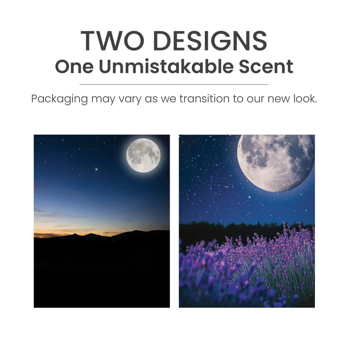 MidSummer's Night® Sidekick®2-Pack Fragrance Refills